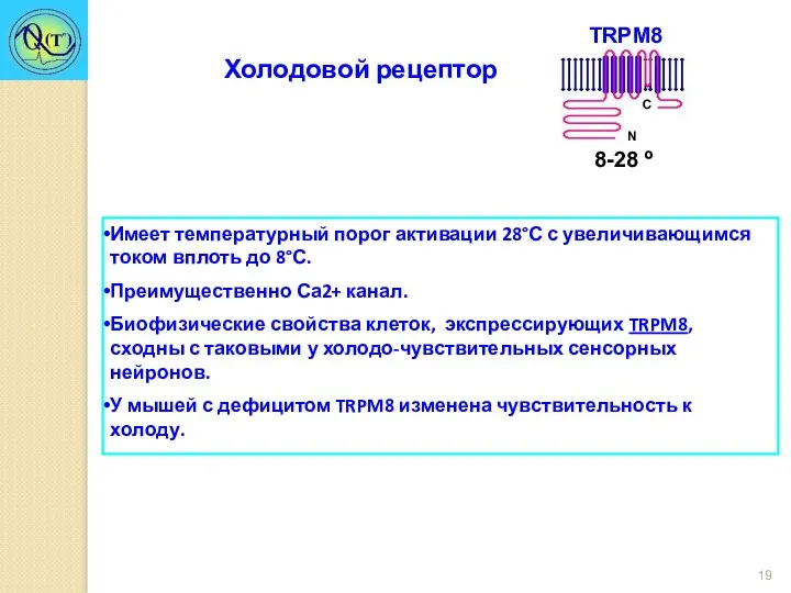 Имеет температурный порог активации 28°С с увеличивающимся током вплоть до