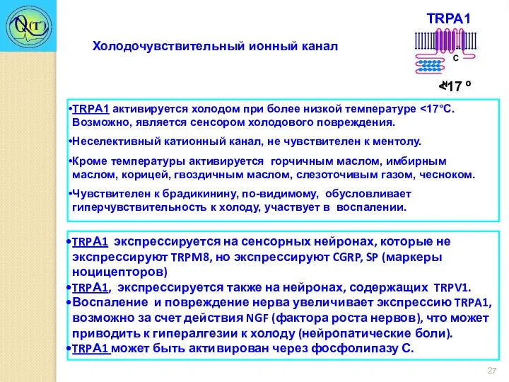 TRPА1 активируется холодом при более низкой температуре Неселективный катионный канал,