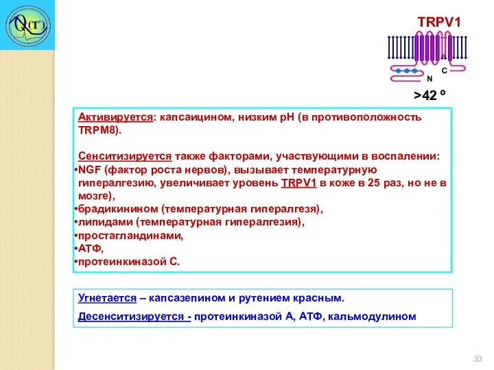 Активируется: капсаицином, низким рН (в противоположность TRPM8). Сенситизируется также факторами,