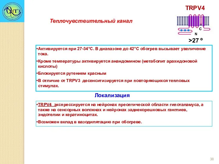 Активируется при 27-34°С. В диапазоне до 42°С обогрев вызывает увеличение