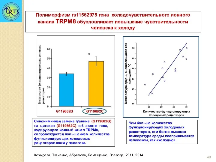 * Синонимичная замена гуанина (G119662G) на цитозин (G119662С) в 6