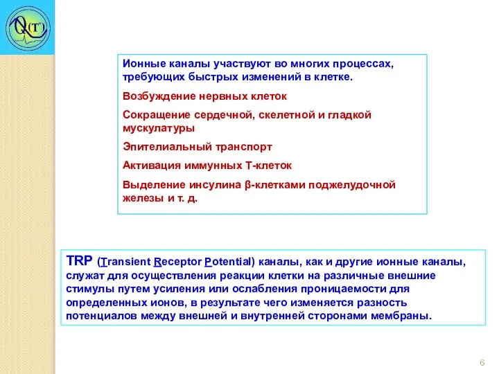 TRP (Transient Receptor Potential) каналы, как и другие ионные каналы,