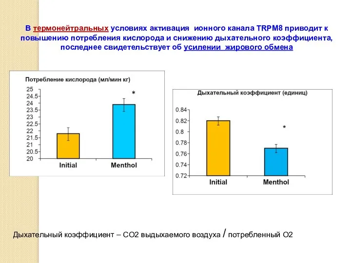 В термонейтральных условиях активация ионного канала TRPM8 приводит к повышению