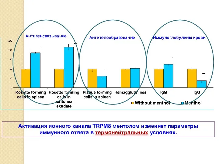 Активация ионного канала TRPM8 ментолом изменяет параметры иммунного ответа в термонейтральных условиях.