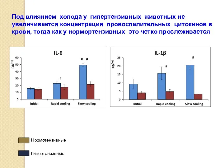 Под влиянием холода у гипертензивных животных не увеличивается концентрация провоспалительных