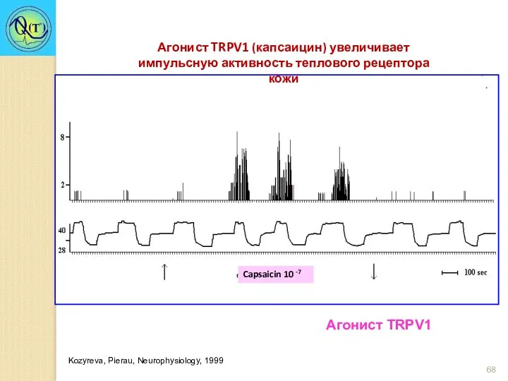 Агонист TRPV1 (капсаицин) увеличивает импульсную активность теплового рецептора кожи Capsaicin