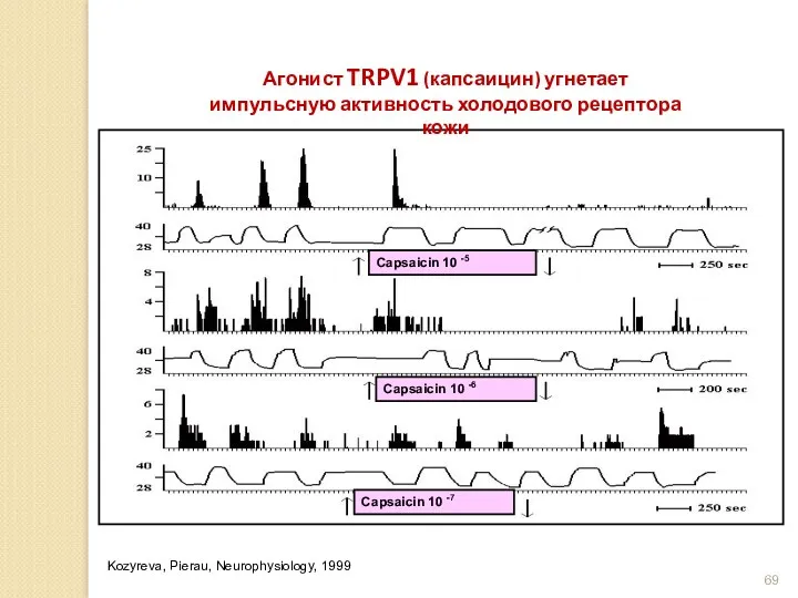 Агонист TRPV1 (капсаицин) угнетает импульсную активность холодового рецептора кожи Kozyreva, Pierau, Neurophysiology, 1999