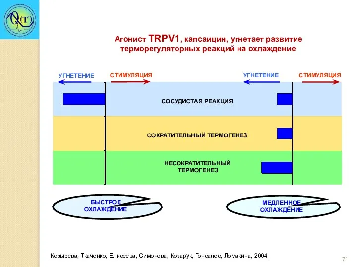 Козырева, Ткаченко, Елисеева, Симонова, Козарук, Гонсалес, Ломакина, 2004