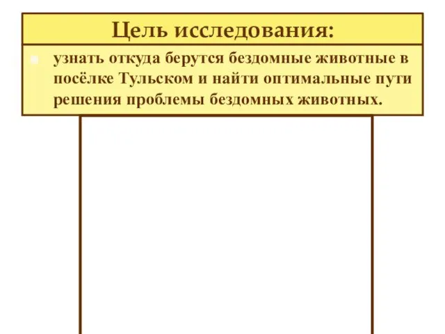 Цель исследования: узнать откуда берутся бездомные животные в посёлке Тульском