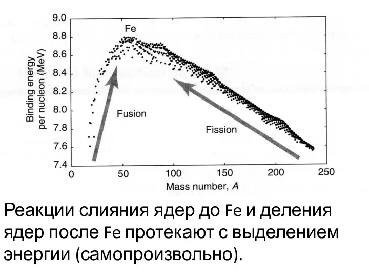 Реакции слияния ядер до Fe и деления ядер после Fe протекают с выделением энергии (самопроизвольно).