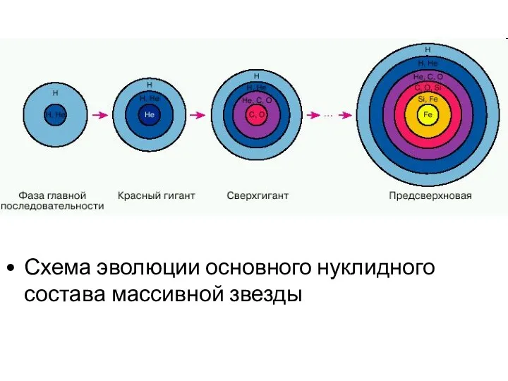 Схема эволюции основного нуклидного состава массивной звезды