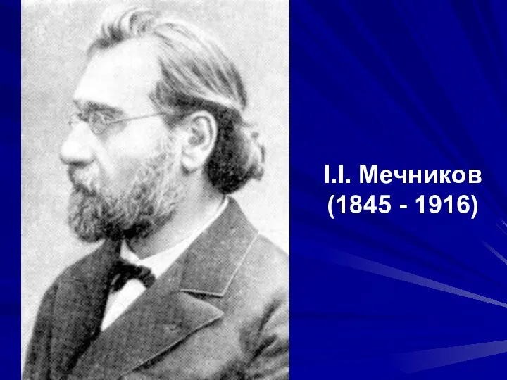 І.І. Мечников (1845 - 1916)