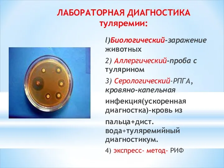 ЛАБОРАТОРНАЯ ДИАГНОСТИКА туляремии: l)Биологический-заражение животных 2) Аллергический-проба c тулярином 3)