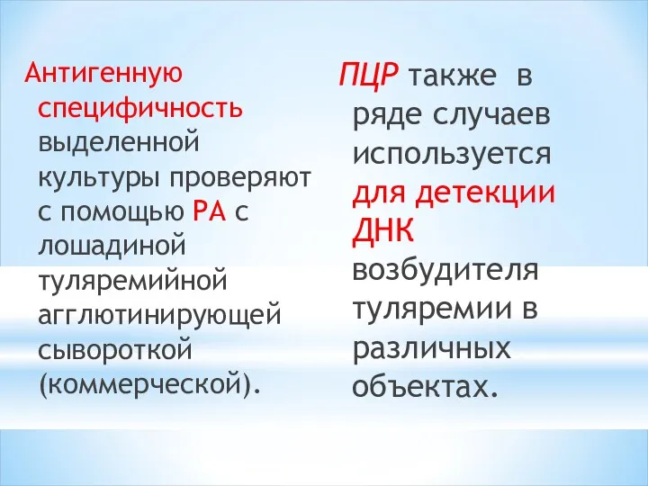 Антигенную специфичность выделенной культуры проверяют с помощью РА с лошадиной