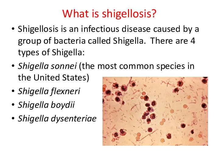 What is shigellosis? Shigellosis is an infectious disease caused by