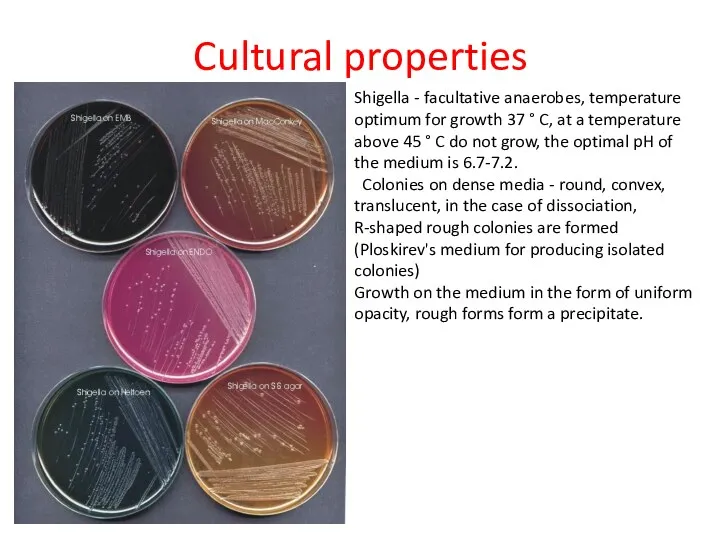 Cultural properties Shigella - facultative anaerobes, temperature optimum for growth