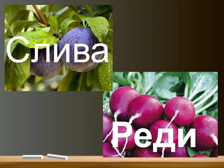 Слива Редис