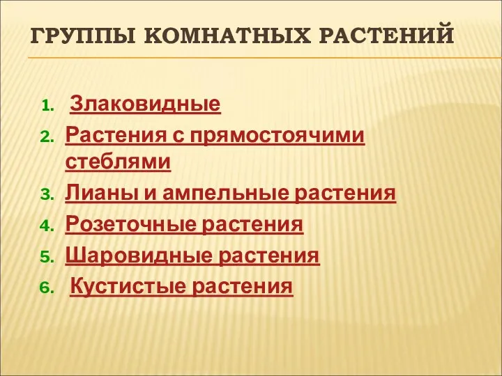 ГРУППЫ КОМНАТНЫХ РАСТЕНИЙ Злаковидные Растения с прямостоячими стеблями Лианы и