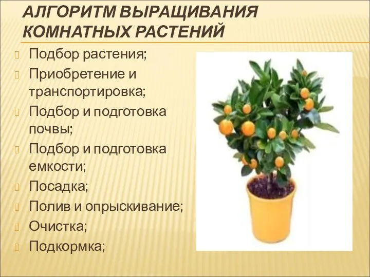 АЛГОРИТМ ВЫРАЩИВАНИЯ КОМНАТНЫХ РАСТЕНИЙ Подбор растения; Приобретение и транспортировка; Подбор