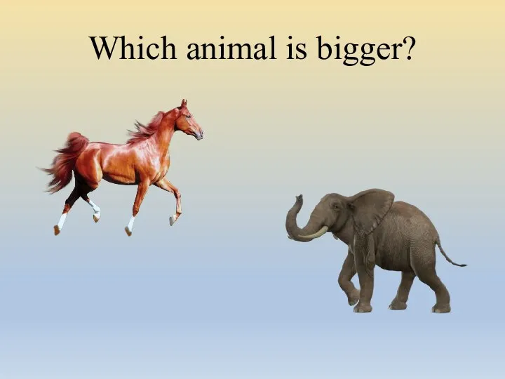 Which animal is bigger?