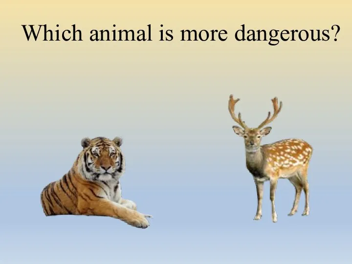 Which animal is more dangerous?