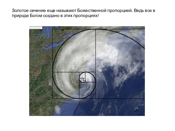 Золотое сечение еще называют Божественной пропорцией. Ведь все в природе Богом создано в этих пропорциях!