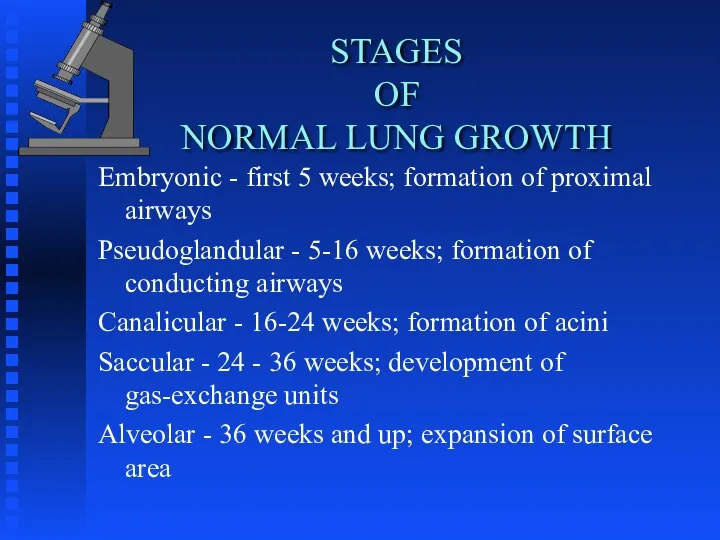 STAGES OF NORMAL LUNG GROWTH Embryonic - first 5 weeks;