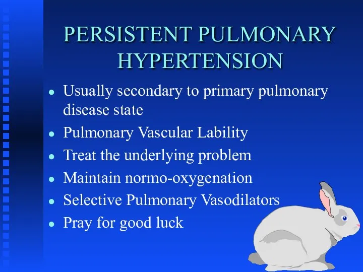 PERSISTENT PULMONARY HYPERTENSION Usually secondary to primary pulmonary disease state
