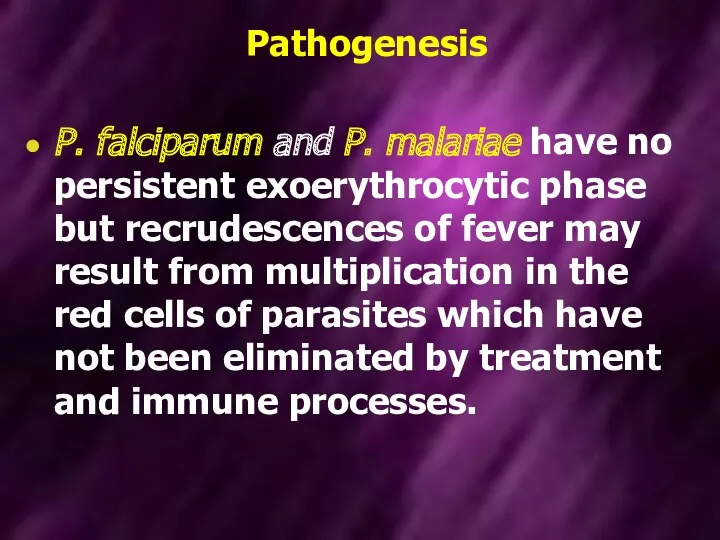 Pathogenesis P. falciparum and P. malariae have no persistent exoerythrocytic