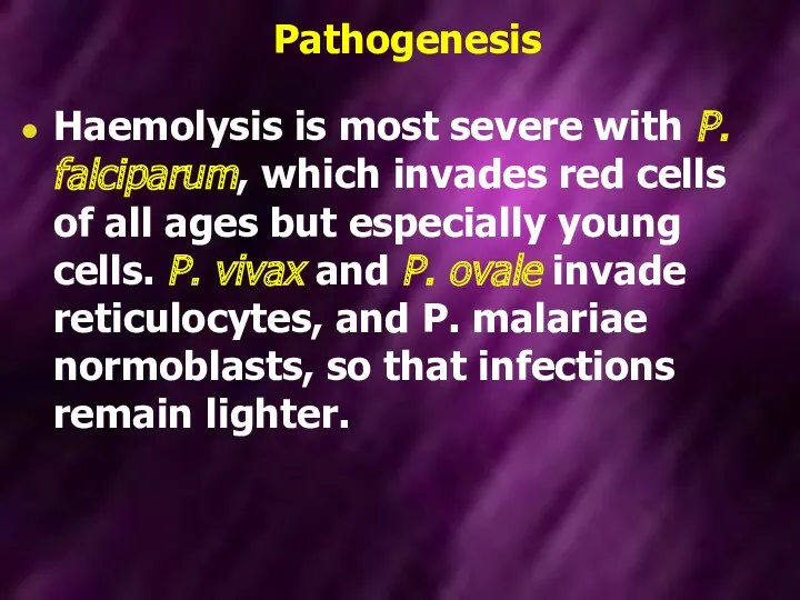 Pathogenesis Haemolysis is most severe with P. falciparum, which invades