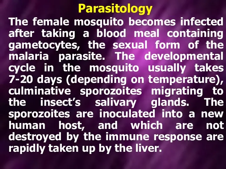 Parasitology The female mosquito becomes infected after taking a blood