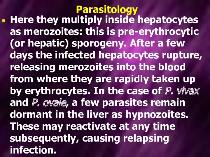 Parasitology Here they multiply inside hepatocytes as merozoites: this is