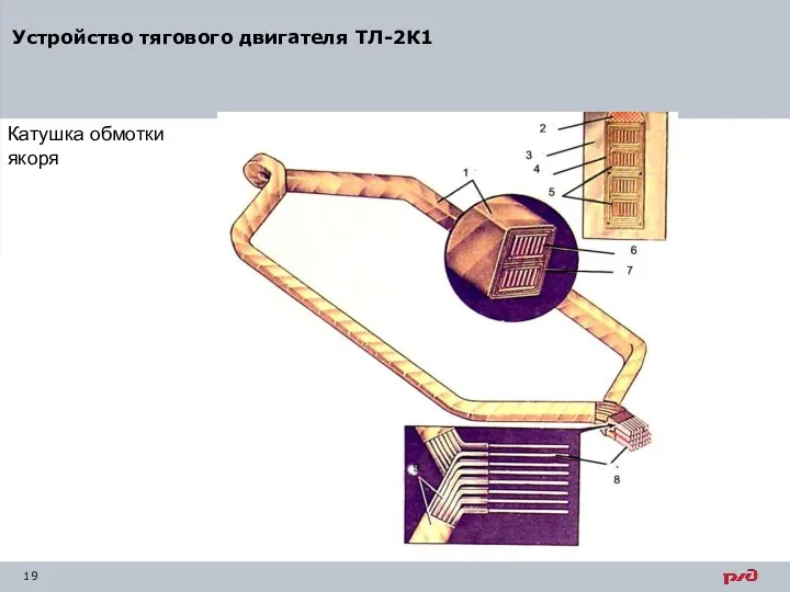 Катушка обмотки якоря Устройство тягового двигателя ТЛ-2К1
