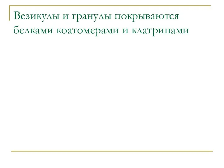 Везикулы и гранулы покрываются белками коатомерами и клатринами