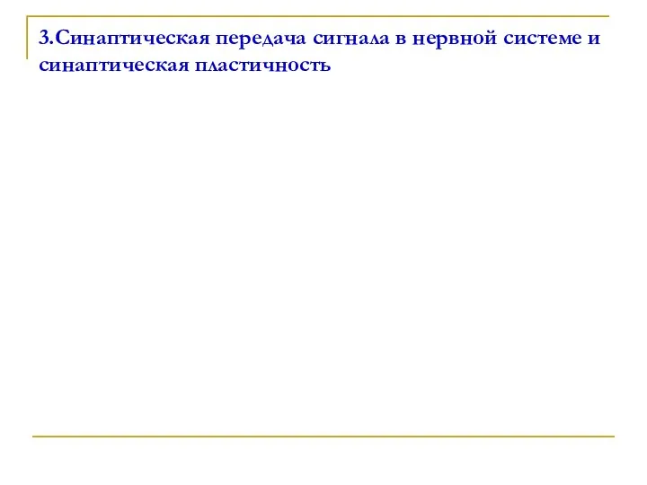 3.Синаптическая передача сигнала в нервной системе и синаптическая пластичность