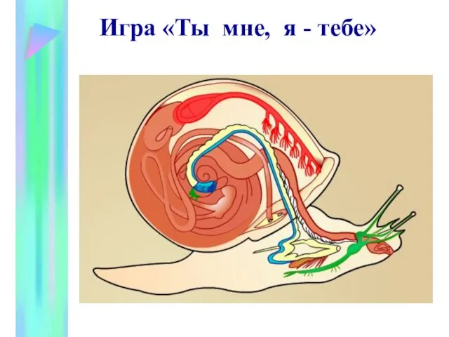 Игра «Ты мне, я - тебе»