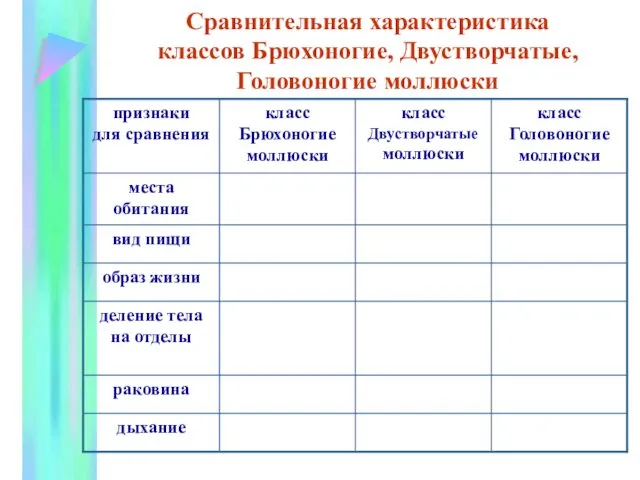 Сравнительная характеристика классов Брюхоногие, Двустворчатые, Головоногие моллюски