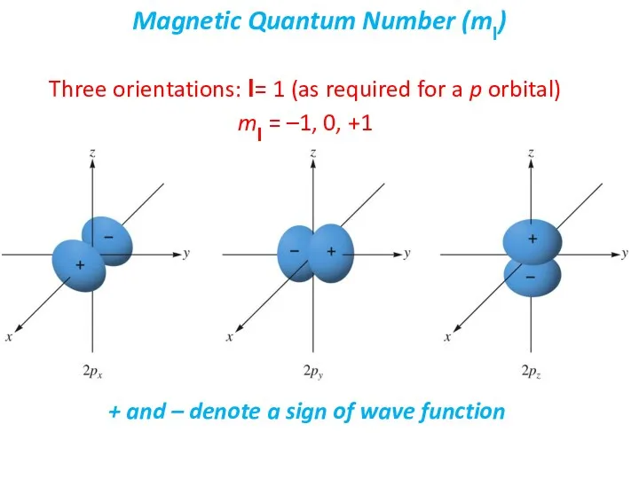 Three orientations: l= 1 (as required for a p orbital)