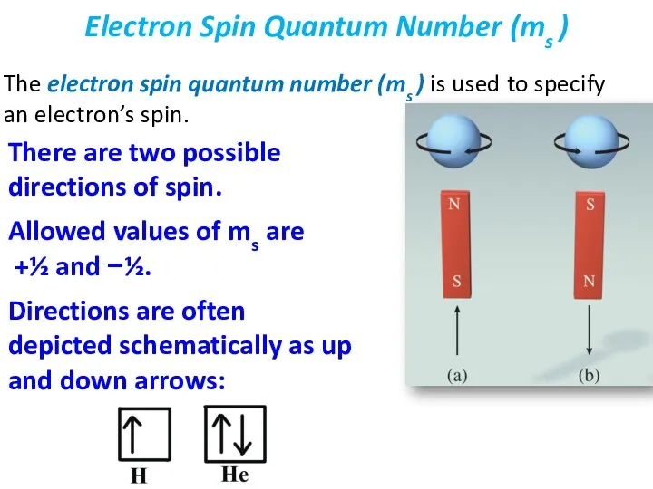 The electron spin quantum number (ms ) is used to