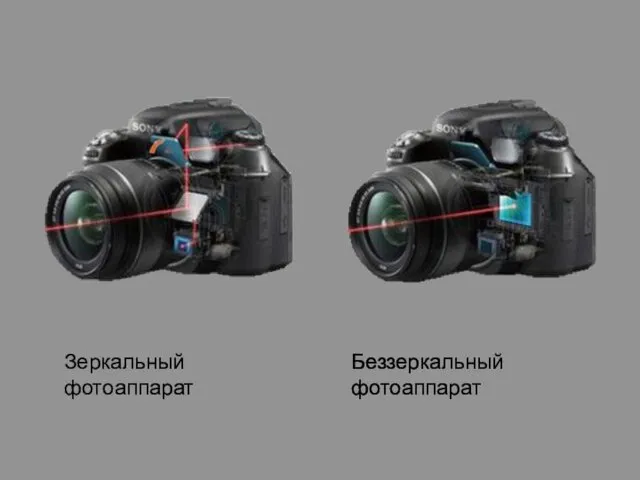 Зеркальный фотоаппарат Беззеркальный фотоаппарат