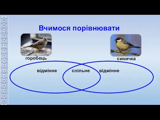 Вчимося порівнювати відмінне спільне відмінне