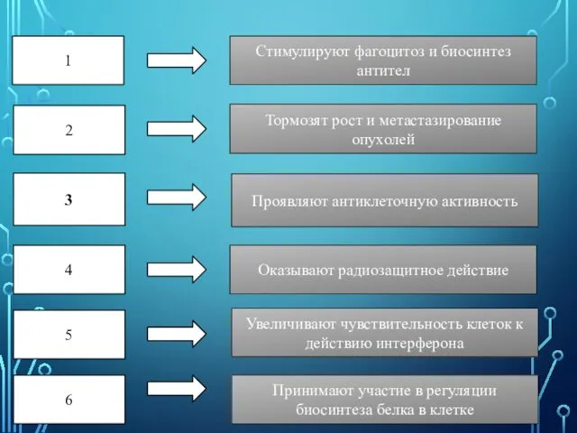 1 2 3 4 Стимулируют фагоцитоз и биосинтез антител Тормозят рост и метастазирование