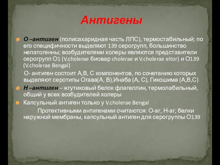 О –антиген (полисахаридная часть ЛПС), термостабильный; по его специфичности выделяют