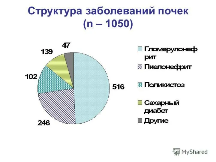 Кіріспе Пиелонефрит – инфекция әсерінен туындаған патологиялық процесс басым интерстициалды