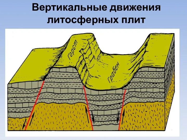 Вертикальные движения литосферных плит