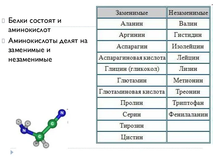 Белки состоят и аминокислот Аминокислоты делят на заменимые и незаменимые