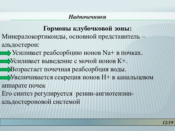 12/19 Надпочечники Гормоны клубочковой зоны: Минералокортикоиды, основной представитель – альдостерон: