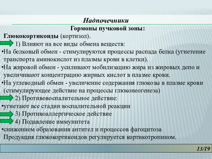 13/19 Надпочечники Гормоны пучковой зоны: Глюкокортикоиды (кортизол). 1) Влияют на