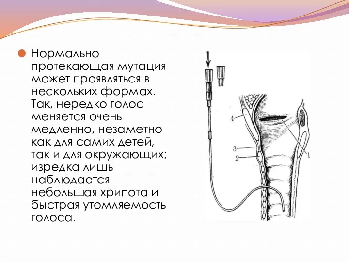 Нормально протекающая мутация может проявляться в нескольких формах. Так, нередко