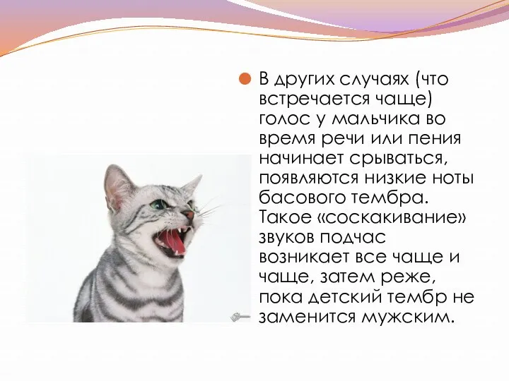 В других случаях (что встречается чаще) голос у мальчика во